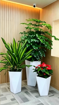 奉化花木租摆装饰效果-鄞州绿植租摆市场需求-镇海花卉租摆咨询-镇海花木租摆摆放技巧
